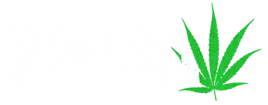 Pantera Official Store mobile logo