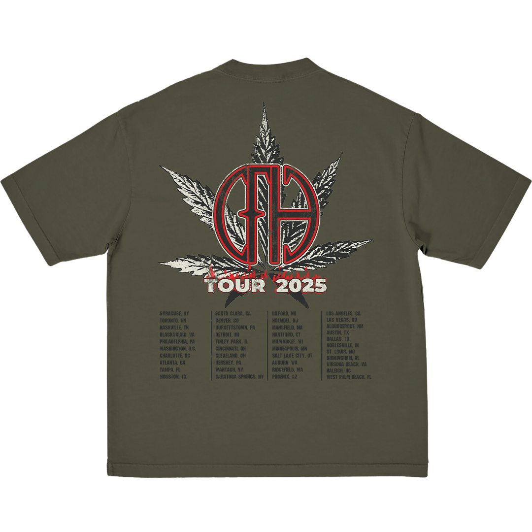 Smoking Skull 2025 Tour T-Shirt Back